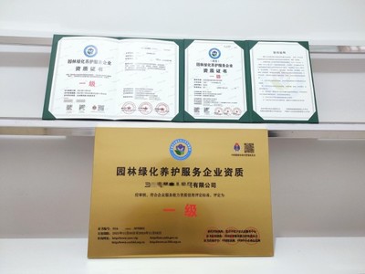 上海市專業(yè)工商注冊與財稅服務全攻略