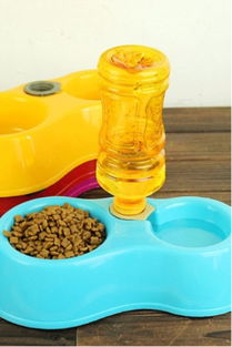 當陽光射進陰霾 蘑菇街優店的寵物溫情日用品